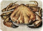 Albrecht Durer Lobster 1495 Watercolour and gouache France oil painting artist